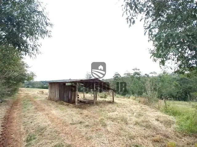 Imagem 7: Área de Terra com 1,3H em Triunfo