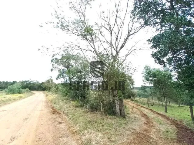 Imagem 3: Área de Terra com 1,3H em Triunfo