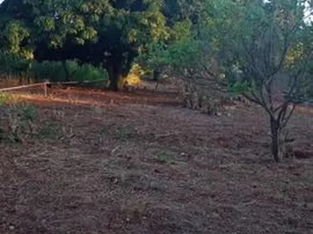 Imagem 5: Casa com Área de Lazer