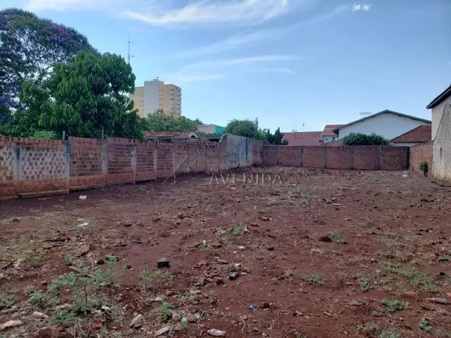 Imagem 2: Ibiporã - Terreno Padrão - Centro