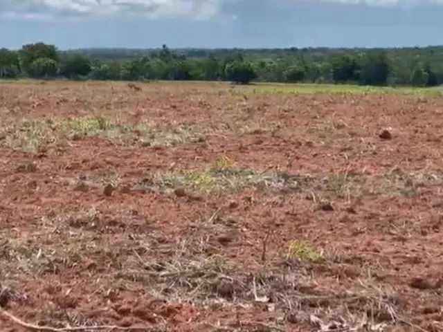 Imagem: . Uma Fazenda 238 Alqueires. 85 Km de Pedro