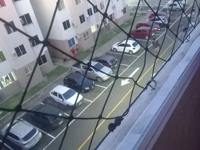Imagem: Dedetização 24Hs Melhor Preço Sem Que