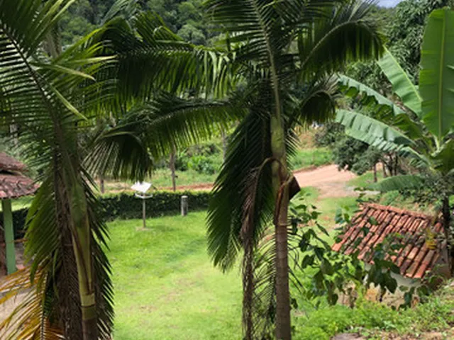 Imagem 2: Sítio com Casa em Domingos Martins
