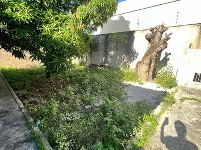 Imagem 8: Alugo Casa de 3 Quartos no Bairro Colina