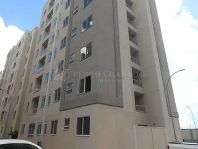 Imagem 6: Maringá - Apartamento - Jardim América