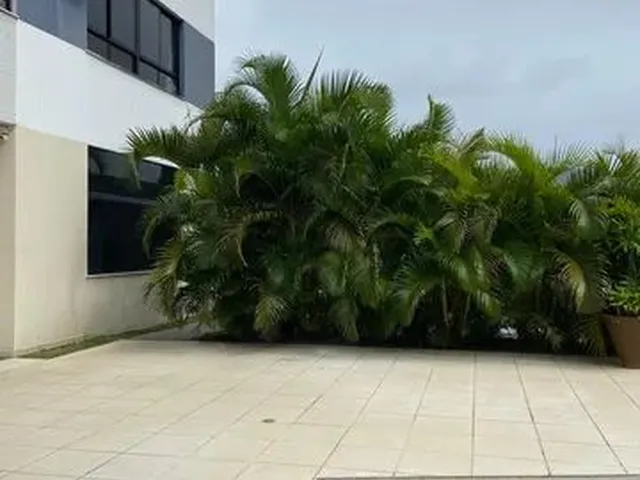Imagem: Apartamento para Aluguel Tem 100 Metros