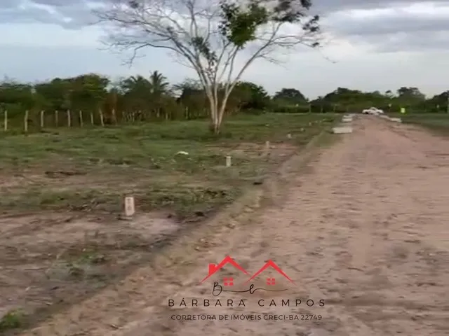 Imagem: Lotes a Partir de 140M, com Parcelas de