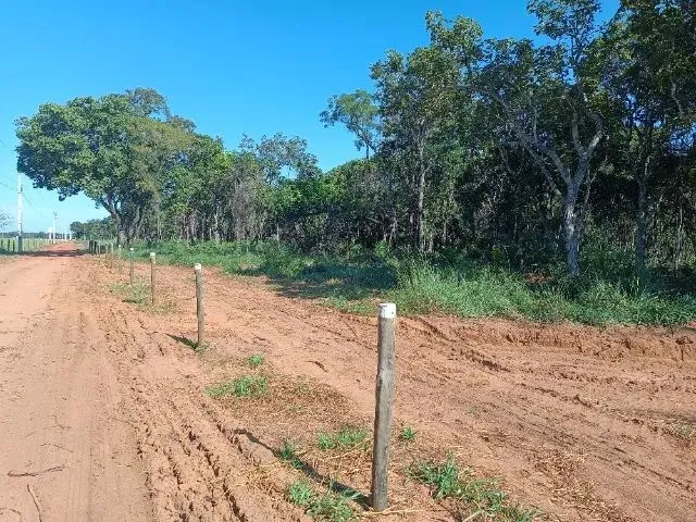 Imagem 2: Bela Área na Saída para Sp, 10.000 M²