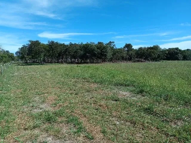 Imagem 3: Bela Área na Saída para Sp, 10.000 M²