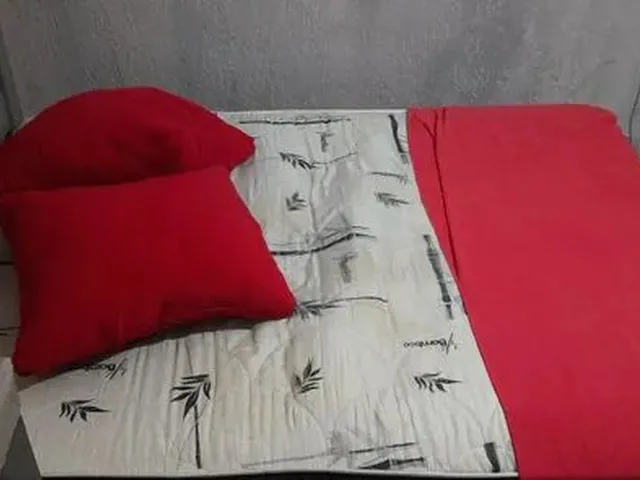 Imagem 3: Quarto Individual com Garagem