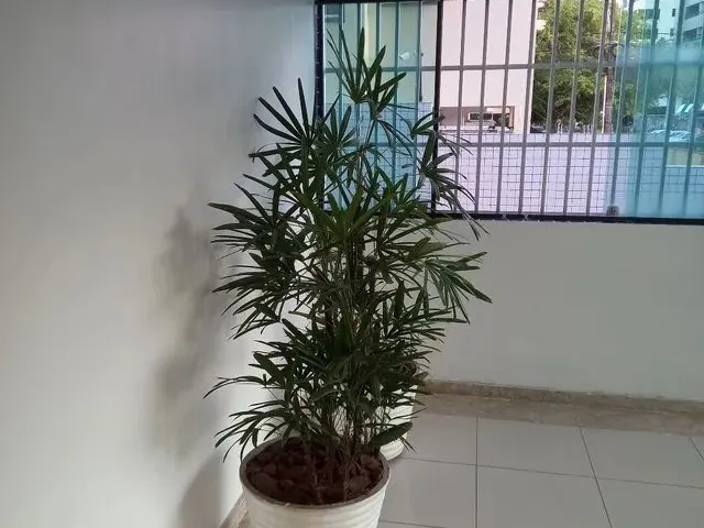 Imagem 10: Apt.c/ 2 Suites em Tambaú - 2.300