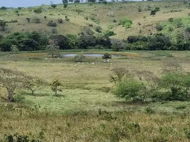 Imagem: Fazenda em Umbauba