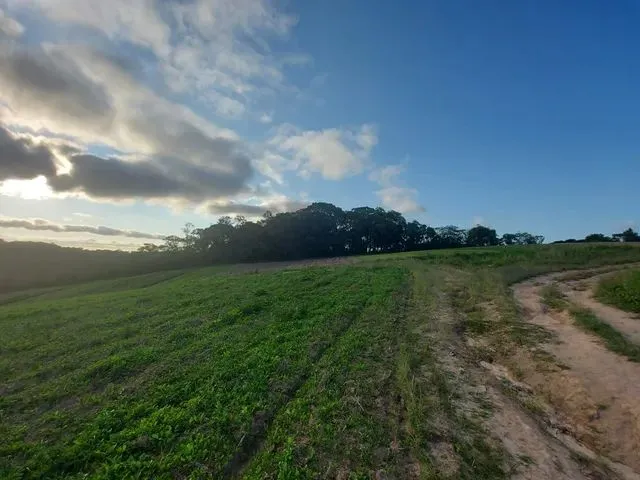 Imagem: 22O-Terrenos com Negociação Flexível!!