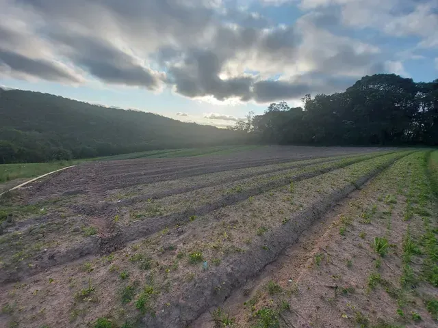 Imagem 15: 22O-Terrenos com Negociação Flexível!!