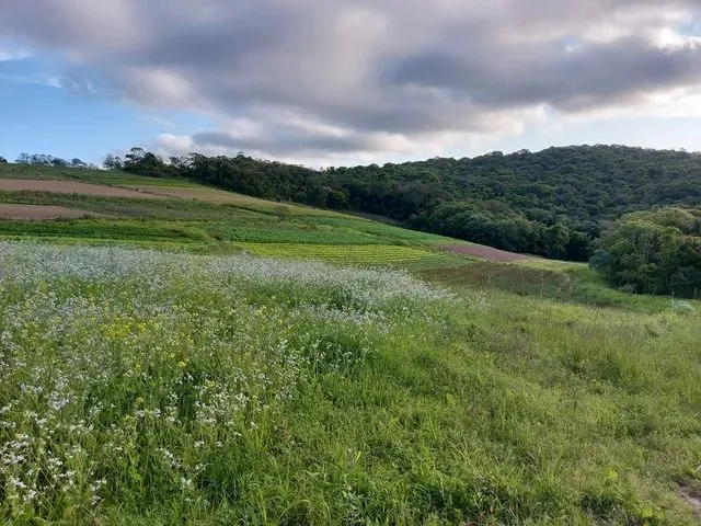Imagem 11: 22O-Terrenos com Negociação Flexível!!