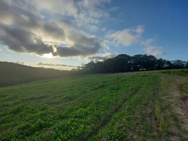 Imagem 4: 22O-Terrenos com Negociação Flexível!!