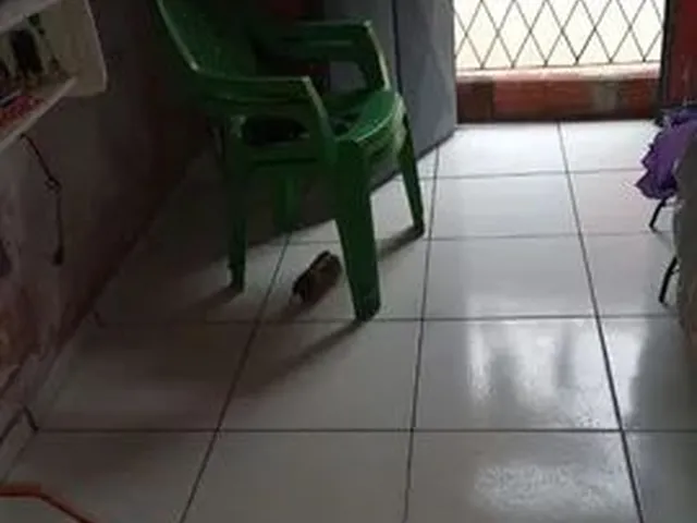 Imagem 2: Vendo Ou Troco Casa na Zona Sudeste