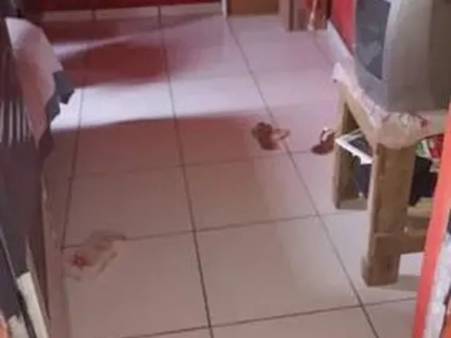 Imagem 3: Vendo Ou Troco Casa na Zona Sudeste