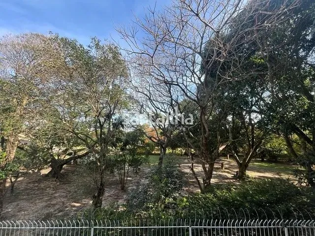 Imagem 13: Florianópolis - Apartamento Padrão - Campeche