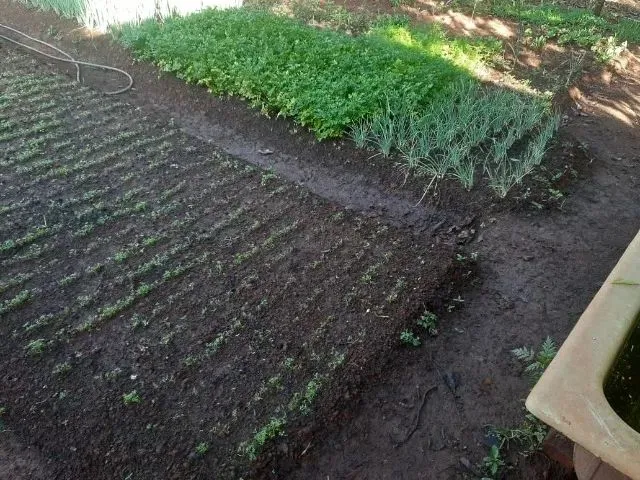 Imagem 2: Lotes, 660M2 Cada Um