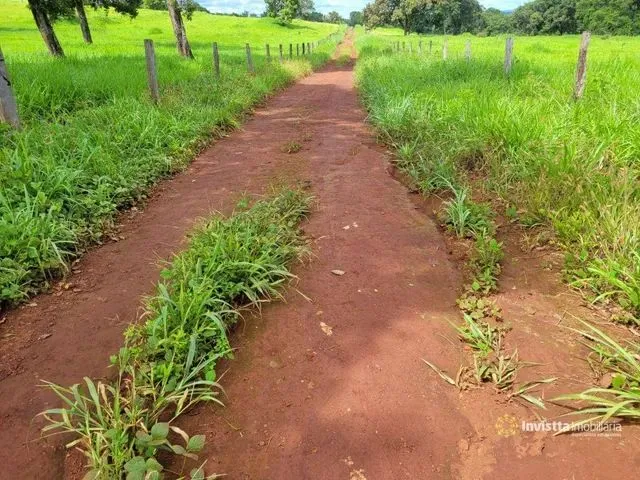 Imagem: Fazenda À Venda, 779 He por R$ 20.930.000
