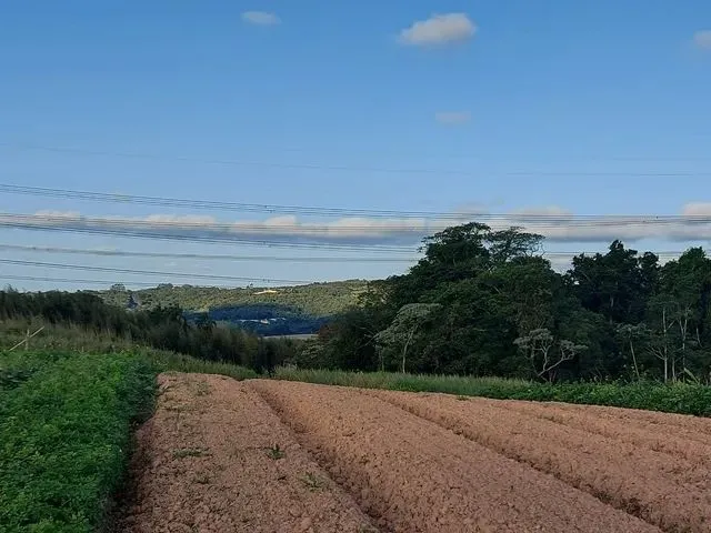 Imagem: 22O- Terrenos com Ótimo Preço!!
