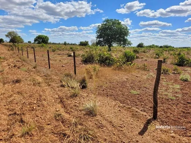 Imagem 4: Fazendas em Tocantins
