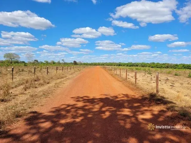 Imagem 7: Fazendas em Tocantins