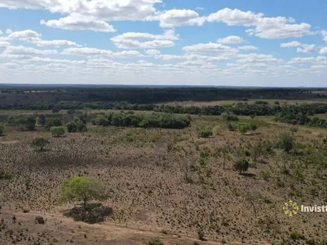 Imagem 9: Fazendas em Tocantins