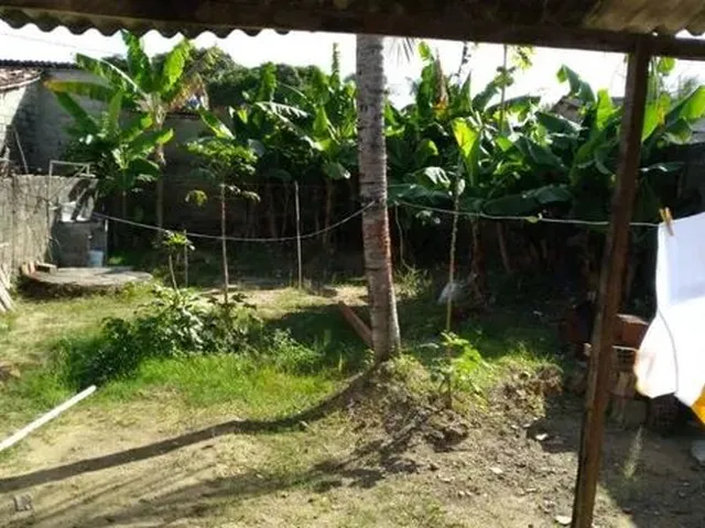 Imagem: Paula - Saia do Aluguel - Maria Helena