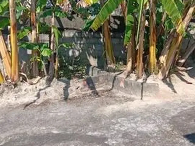 Imagem 3: Vendo Casa com Terreno 400M²