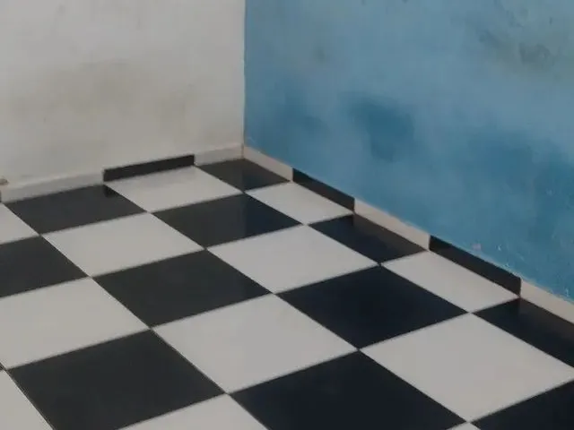 Imagem 2: Aluguel de Kutnet
