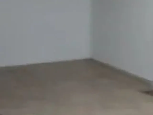 Imagem 10: Aluguel de Prédio Comercial em Nazaré