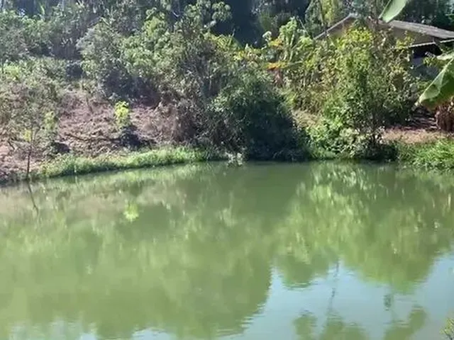 Imagem: Chacara 24.000M² (Casa, Corrego e Represa)