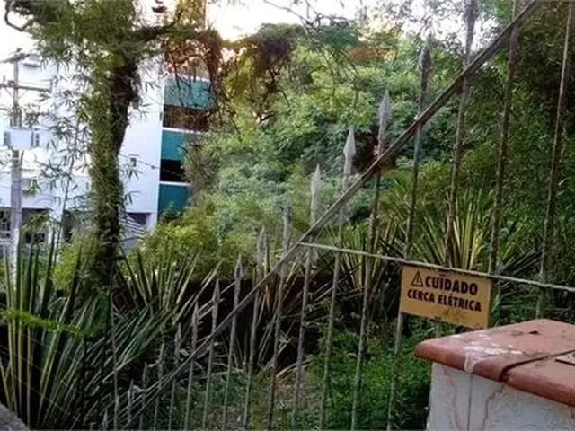 Imagem 5: Apartamento 3 Dorm C/ Suíte e 3 Vagas de Garagem