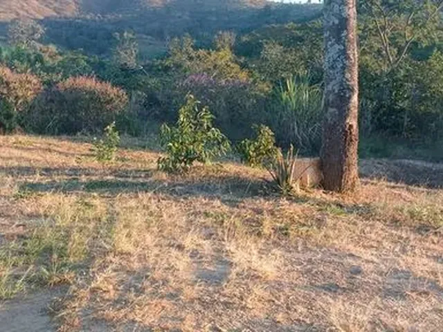 Imagem: Venda de Chacara Sessão de Direito