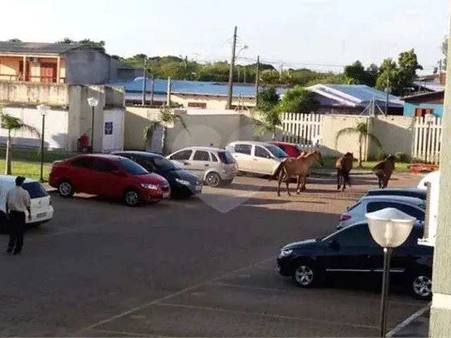 Imagem 8: .