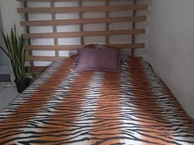 Imagem 3: Alugo Kitnet com Mobilia em Periperi