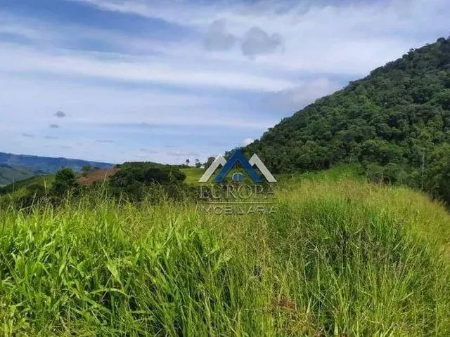Imagem: Fazenda À Venda, 3630000 M² por R$ 11.000.000,00