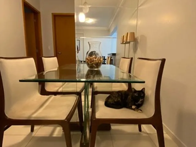 Imagem 7: Borges Landeiro Modernidad - 69M²