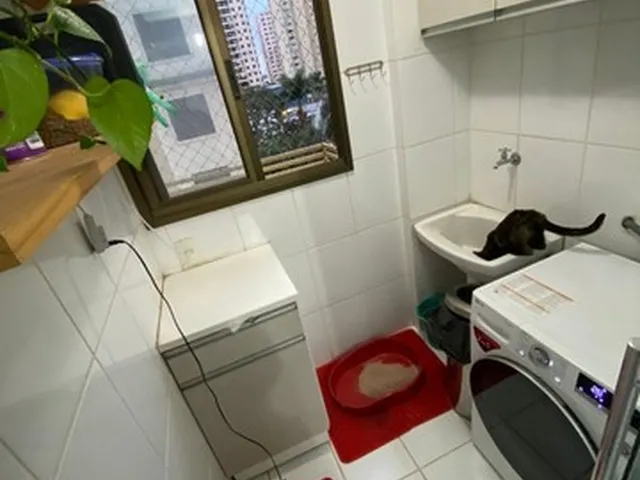 Imagem 2: Borges Landeiro Modernidad - 69M²
