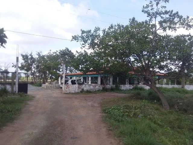 Imagem: Fazenda em Periz de Baixo, Bacabeira Ma