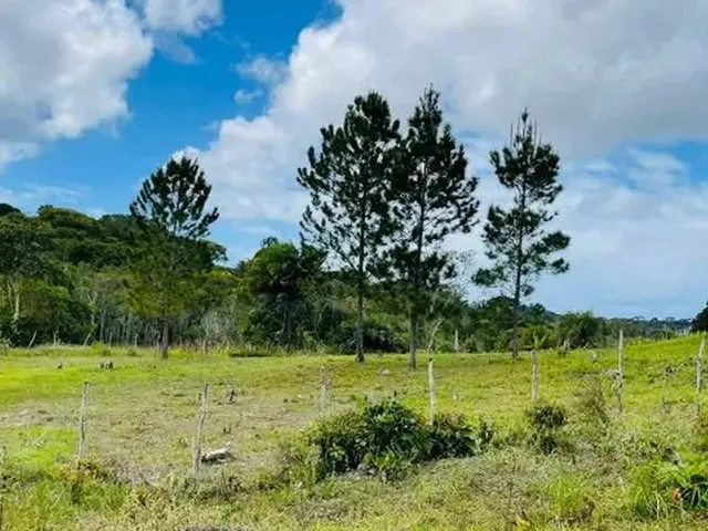 Imagem: Sítio na Linha Verde Fazendinhas Subaúma