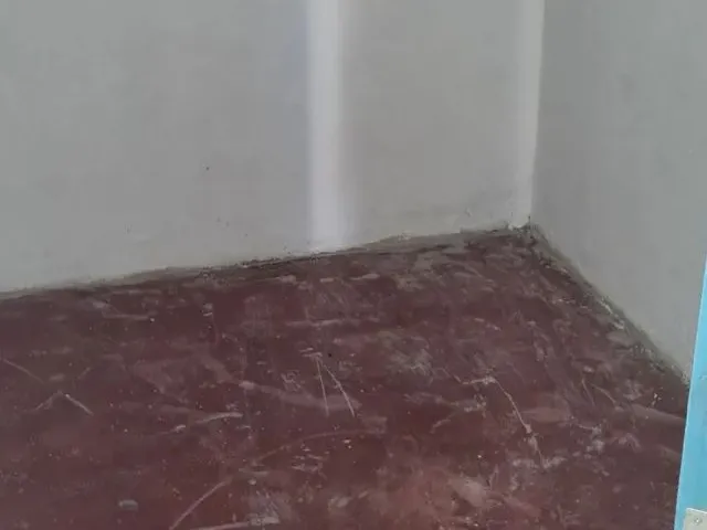 Imagem 4: Aluga-Se Essa Casinha