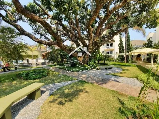 Imagem 16: Petrópolis - Apartamento Padrão - Nogueira