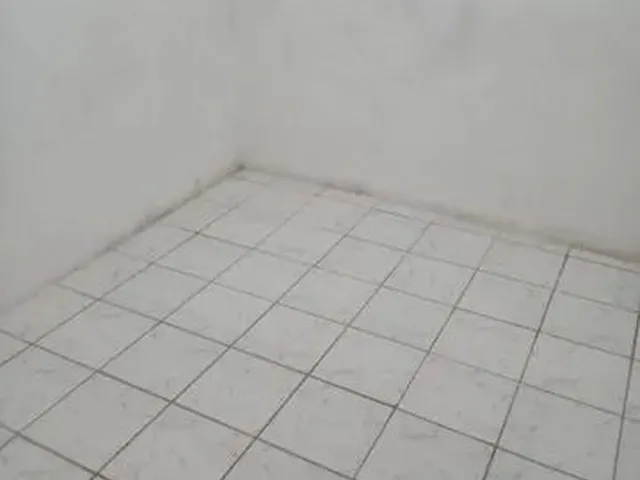 Imagem 4: Casa na Varzea Casa com 2 dormitórios