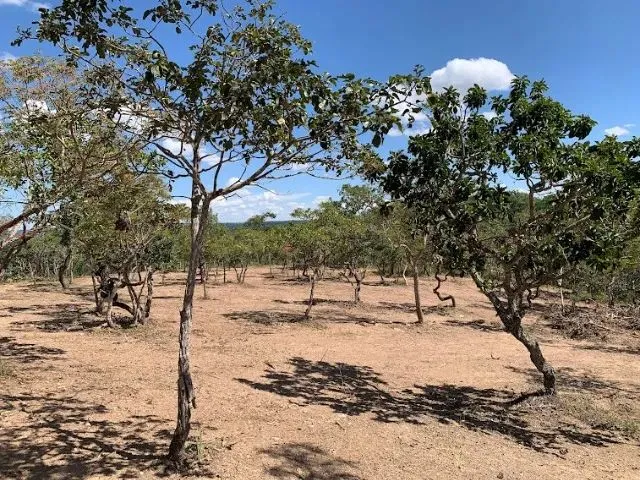 Imagem: Chácara 9000M², Energia, Terra de Cultura