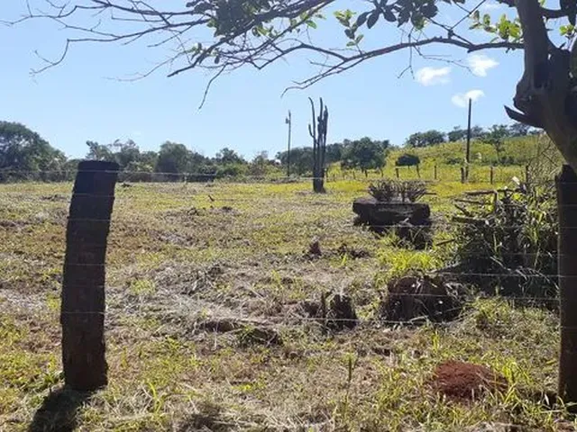Imagem: Vende-Se Chácara 1 Alqueire