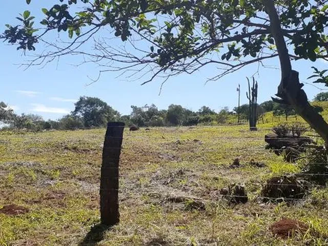 Imagem 4: Vende-Se Chácara 1 Alqueire