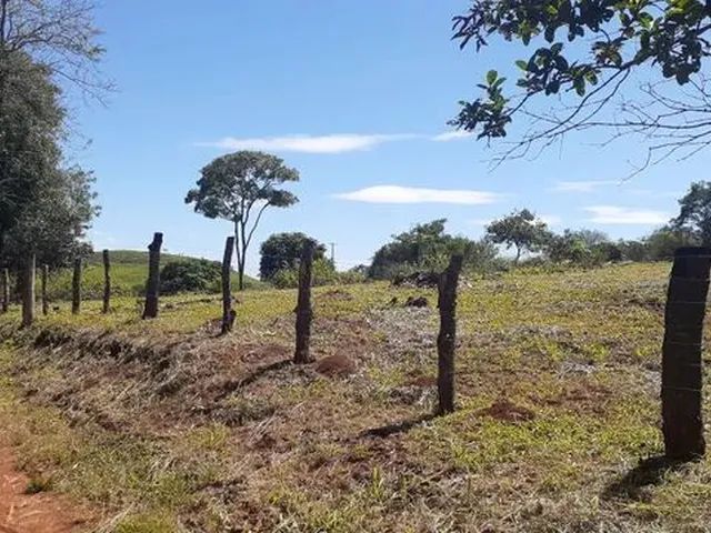 Imagem 2: Vende-Se Chácara 1 Alqueire